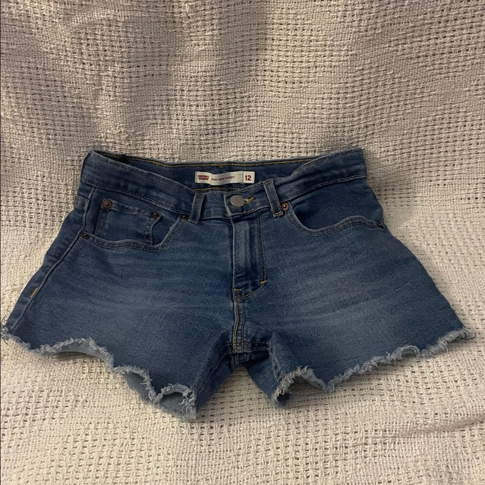 Levi's Blue Mini Mom Shorts